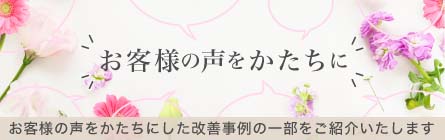 ニュービーズ×ハナノヒキャンペーン