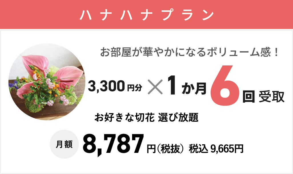 【ハナハナプラン】月6回まで1回3,300円までお好きな切り花選び放題　月額：8,787円