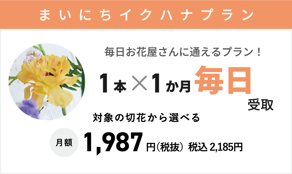【まいにちイクハナプラン】毎日1回1本対象の切り花から選べる　月額：1,987円