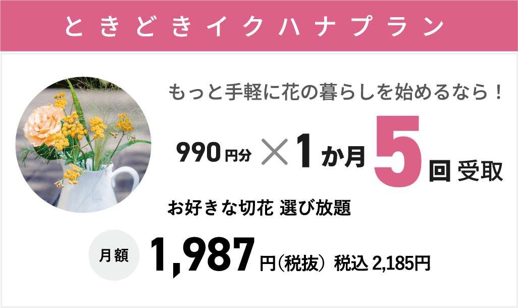【ときどきイクプラン】月5回まで1回990円までお好きな切り花選び放題　月額：1,987円