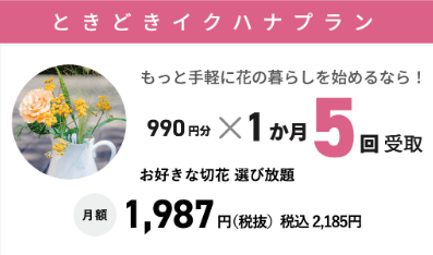 ときどきイクハナ