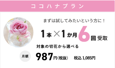 ココハナ