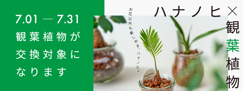 ハナノヒ_観葉植物CP_メール用バナー